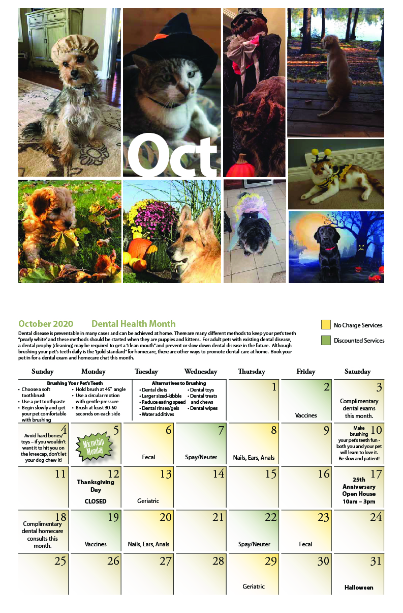 Our Calendar Veterinarians in Rockwood Rockwood Veterinary Clinic