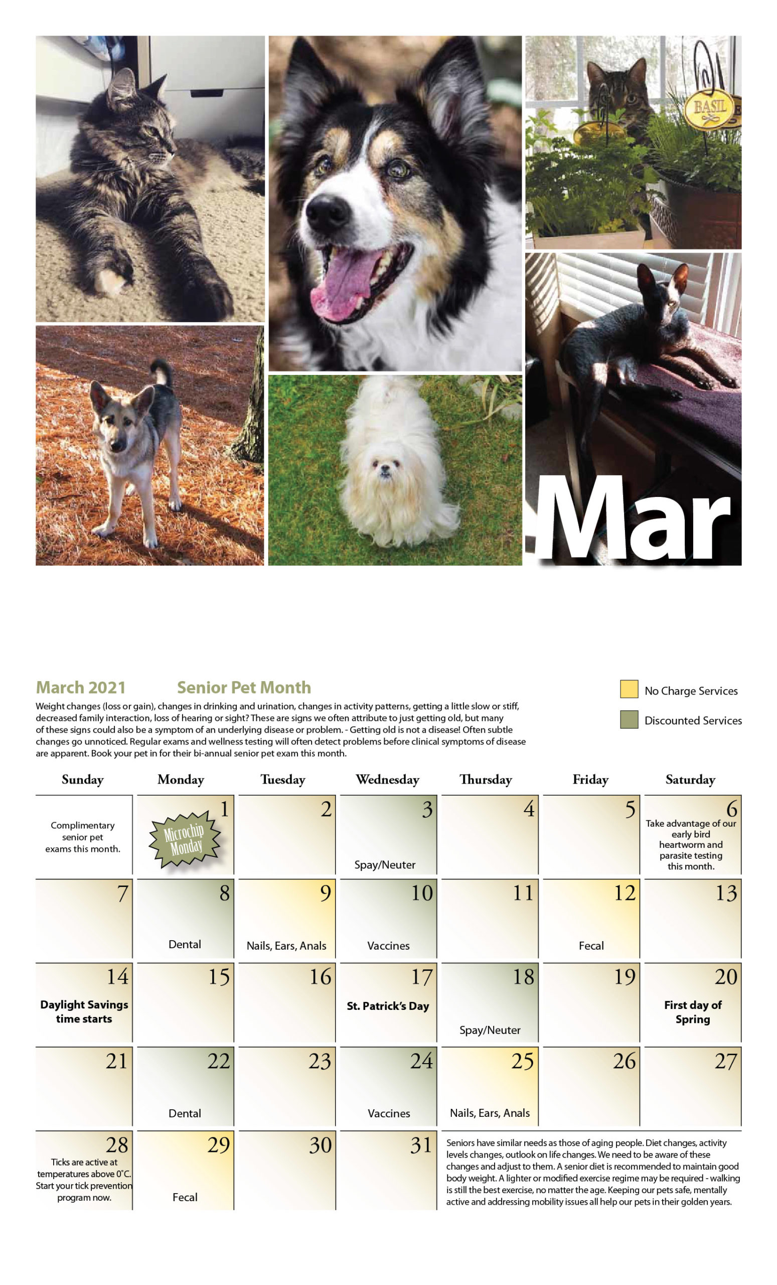 Our Calendar Rockwood Veterinary Clinic