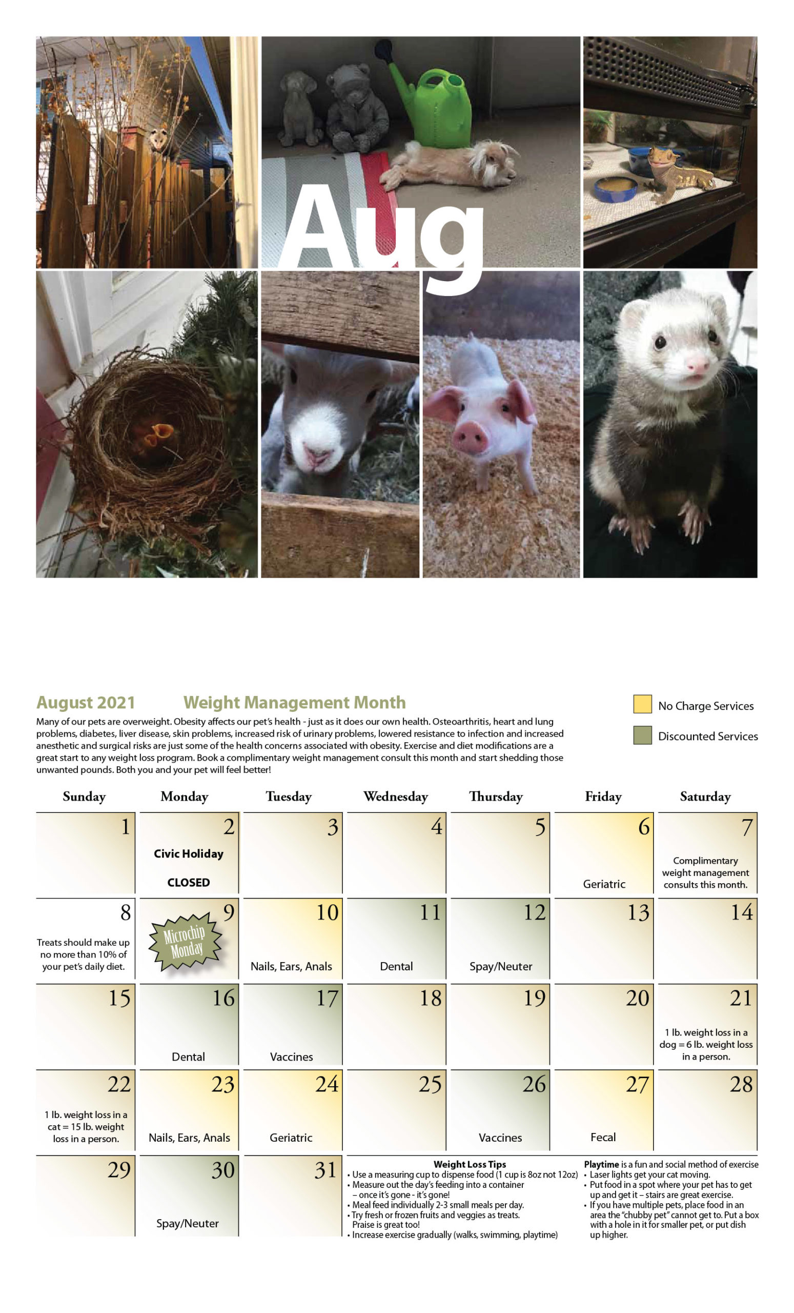 Our Calendar Rockwood Veterinary Clinic