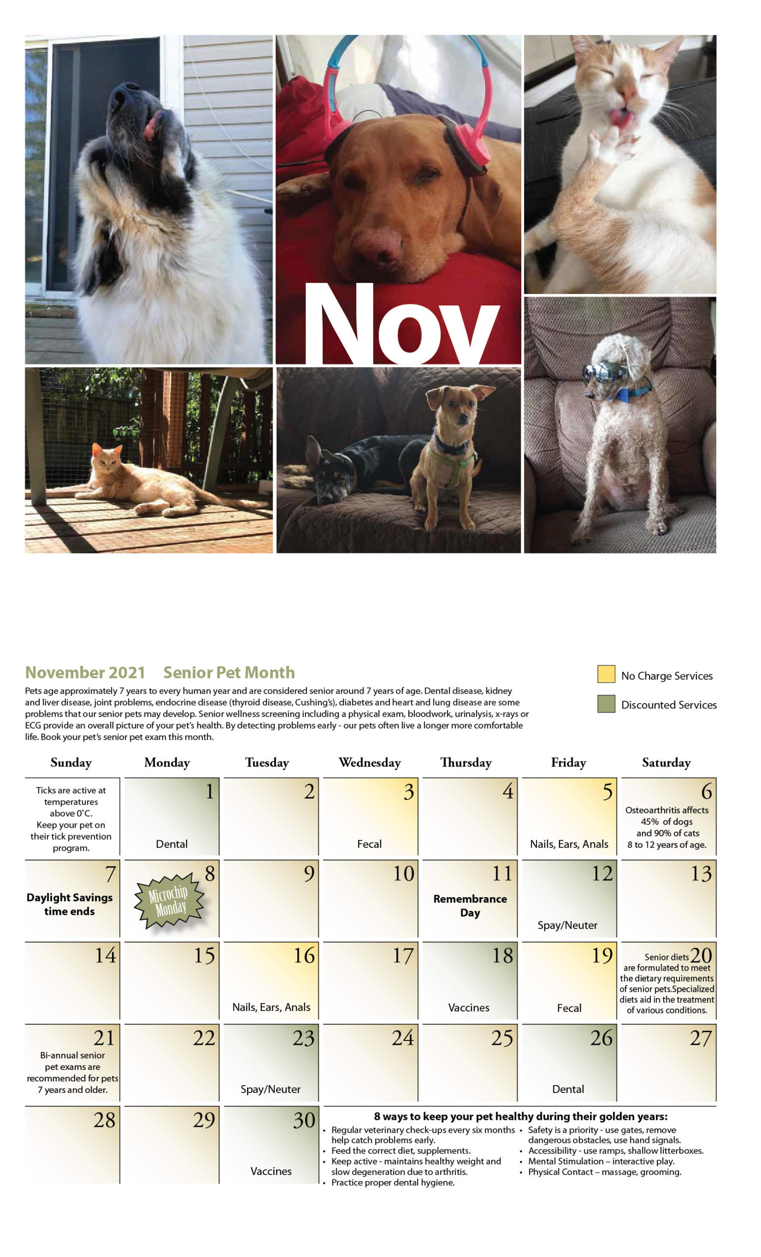 Our Calendar Rockwood Veterinary Clinic